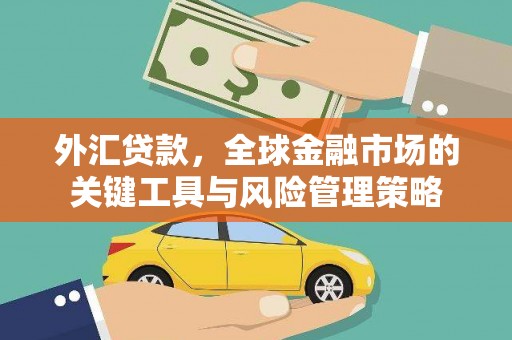 静宁外汇贷款，全球金融市场的关键工具与风险管理策略