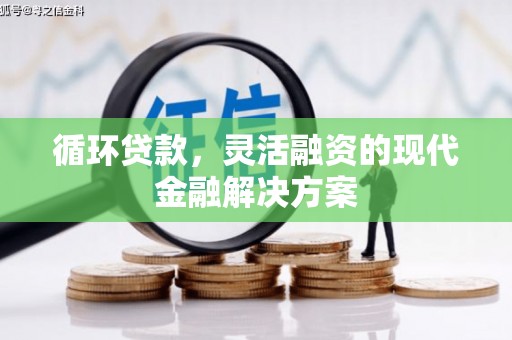 静宁循环贷款，灵活融资的现代金融解决方案
