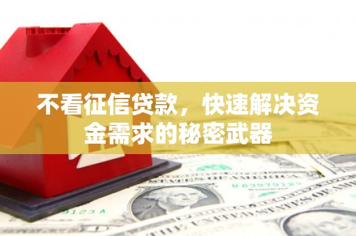 静宁不看征信贷款，快速解决资金需求的秘密武器