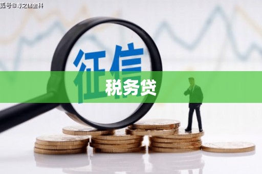 静宁税务贷