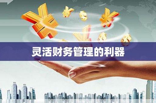 静宁灵活财务管理的利器