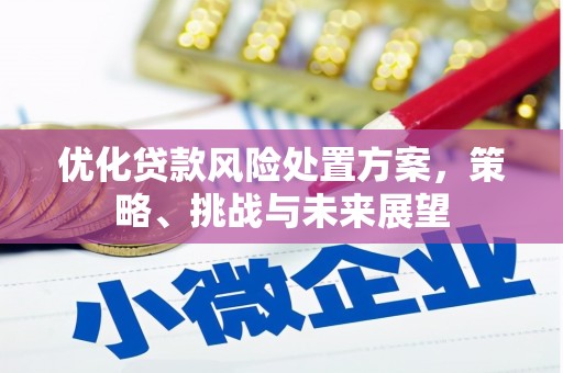 静宁优化贷款风险处置方案，策略、挑战与未来展望