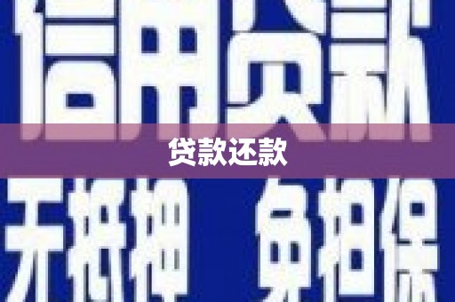 静宁贷款还款