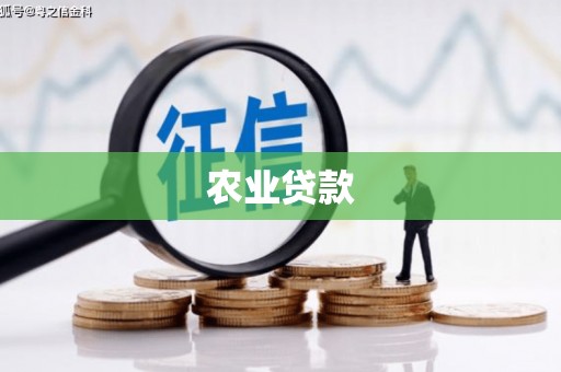 静宁农业贷款