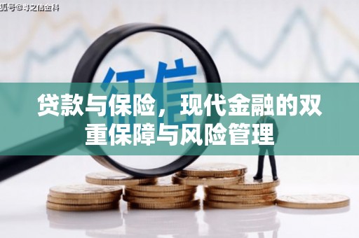 静宁贷款与保险，现代金融的双重保障与风险管理