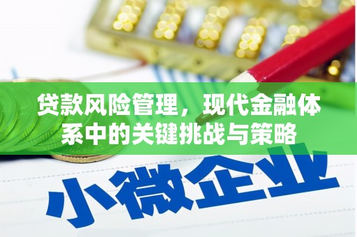 静宁贷款风险管理，现代金融体系中的关键挑战与策略