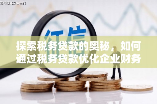 静宁探索税务贷款的奥秘，如何通过税务贷款优化企业财务