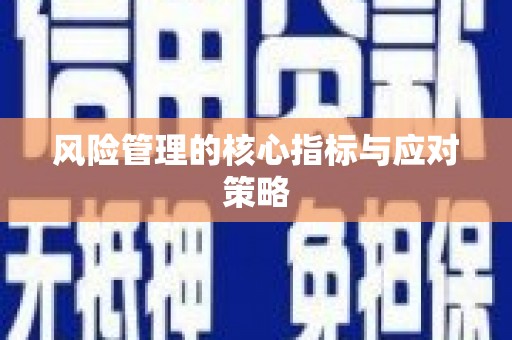 静宁风险管理的核心指标与应对策略