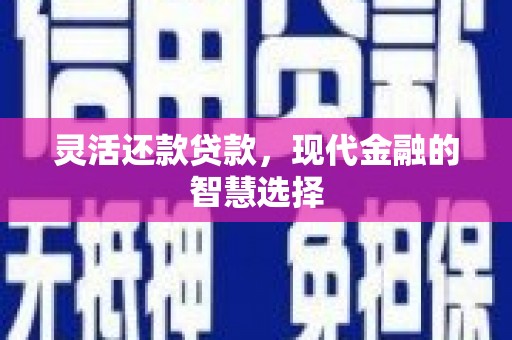 静宁灵活还款贷款，现代金融的智慧选择