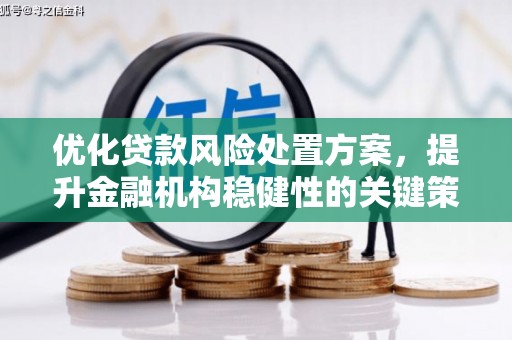 静宁优化贷款风险处置方案，提升金融机构稳健性的关键策略