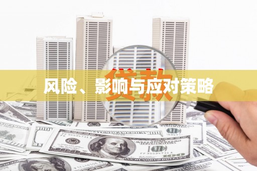 静宁风险、影响与应对策略