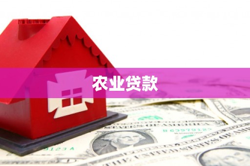 静宁农业贷款