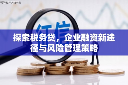 静宁探索税务贷，企业融资新途径与风险管理策略