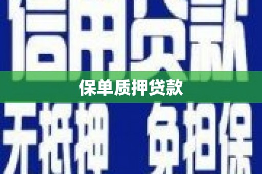 静宁保单质押贷款