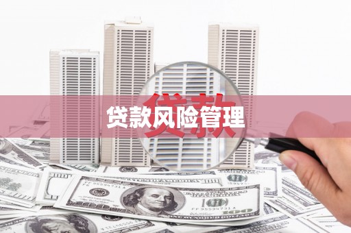 静宁贷款风险管理