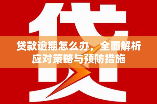 静宁贷款逾期怎么办，全面解析应对策略与预防措施