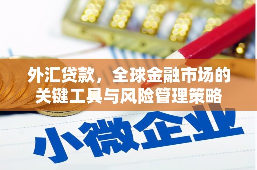 静宁外汇贷款，全球金融市场的关键工具与风险管理策略