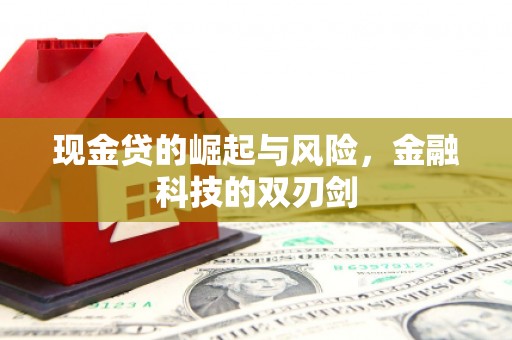 静宁现金贷的崛起与风险，金融科技的双刃剑