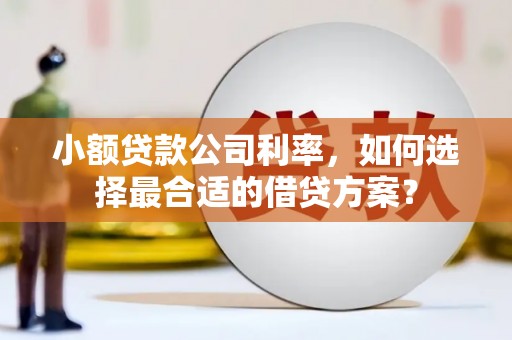 静宁小额贷款公司利率，如何选择最合适的借贷方案？