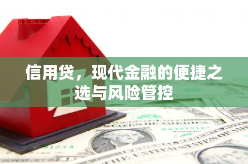 静宁信用贷，现代金融的便捷之选与风险管控