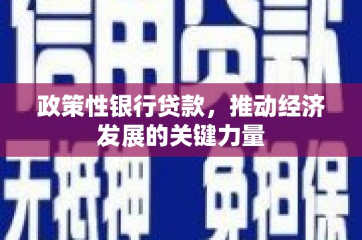 静宁政策性银行贷款，推动经济发展的关键力量