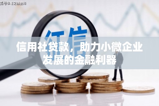 静宁信用社贷款，助力小微企业发展的金融利器