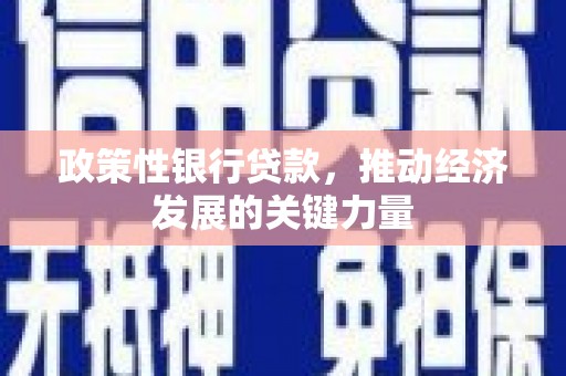 静宁政策性银行贷款，推动经济发展的关键力量
