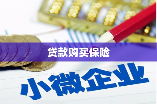 静宁贷款购买保险
