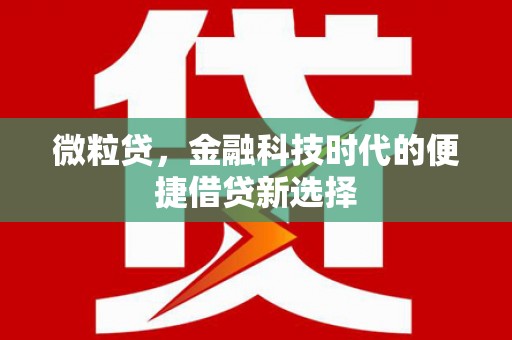 静宁微粒贷，金融科技时代的便捷借贷新选择