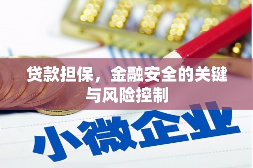 静宁贷款担保，金融安全的关键与风险控制
