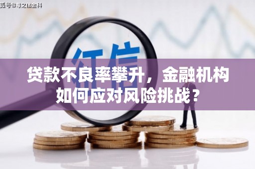 静宁贷款不良率攀升，金融机构如何应对风险挑战？