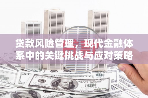 静宁贷款风险管理，现代金融体系中的关键挑战与应对策略