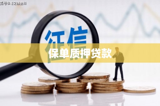 静宁保单质押贷款