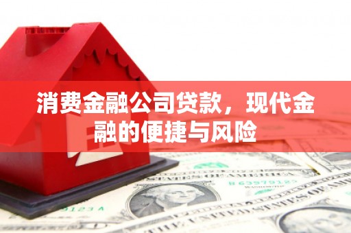 静宁消费金融公司贷款，现代金融的便捷与风险
