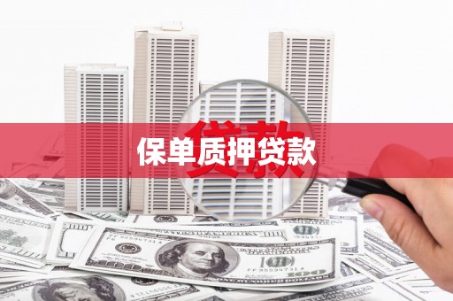 静宁保单质押贷款