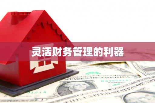 静宁灵活财务管理的利器