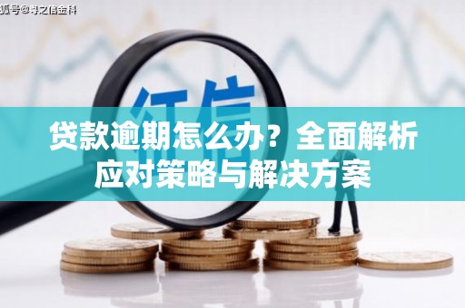 静宁贷款逾期怎么办？全面解析应对策略与解决方案