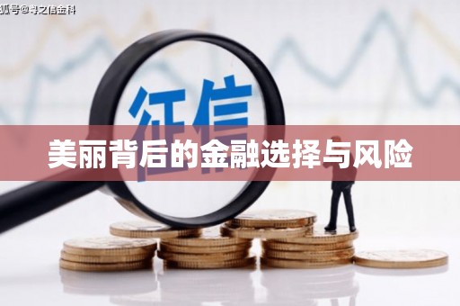 静宁美丽背后的金融选择与风险