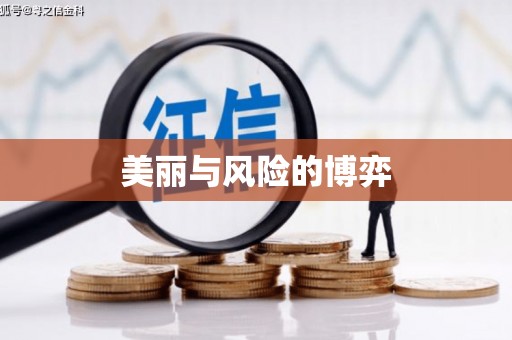 静宁美丽与风险的博弈