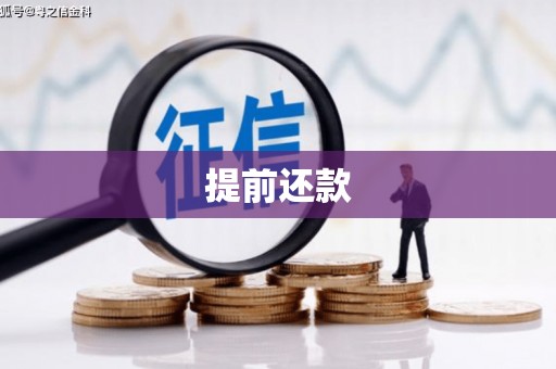 静宁提前还款