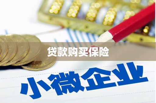 静宁贷款购买保险