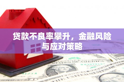 静宁贷款不良率攀升，金融风险与应对策略