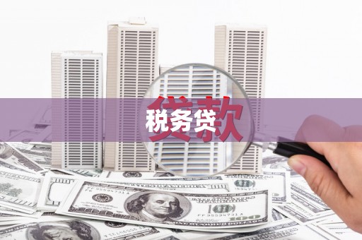 静宁税务贷